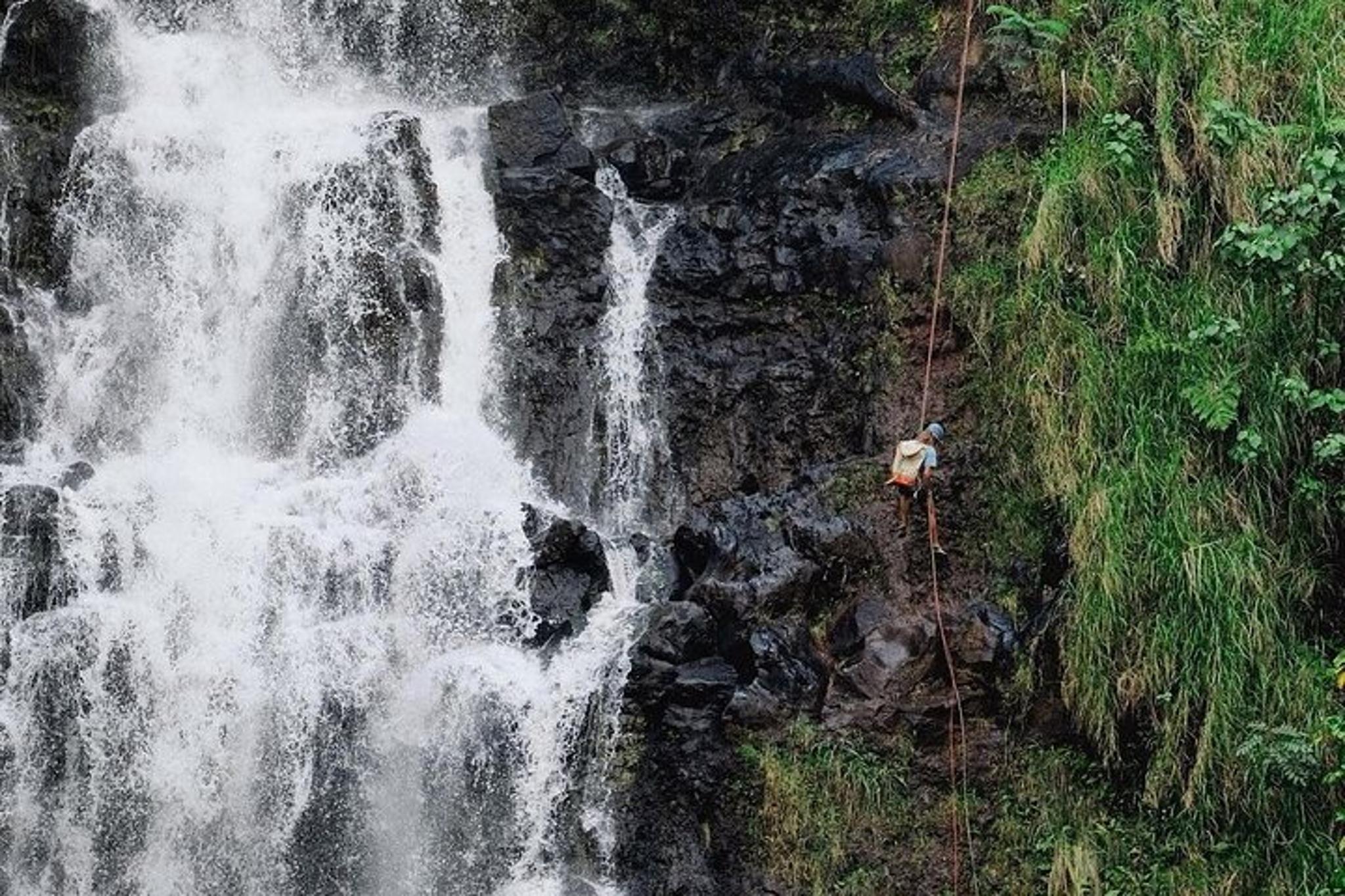 Hilo Waterfall Rappelling at Kulaniapia Falls