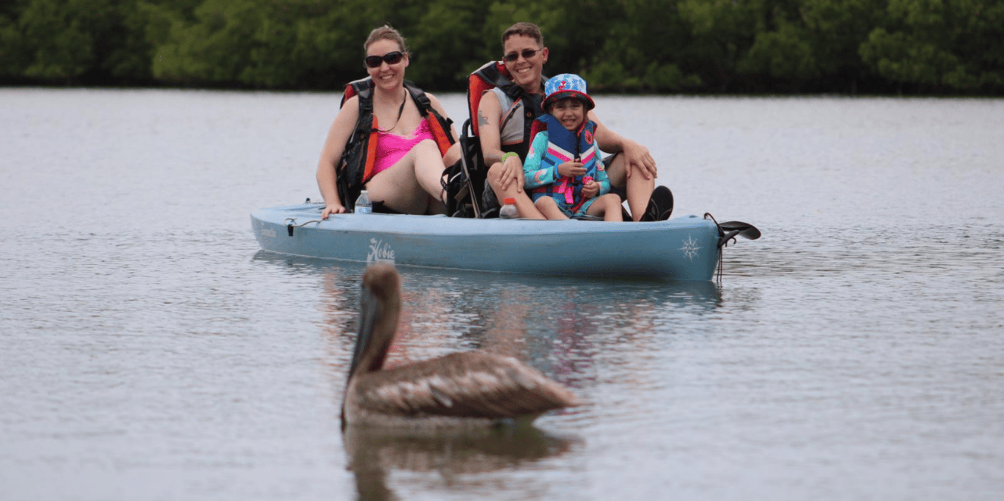 Naples Marco Island Mangroves Kayak or Paddle Tour - Image 3