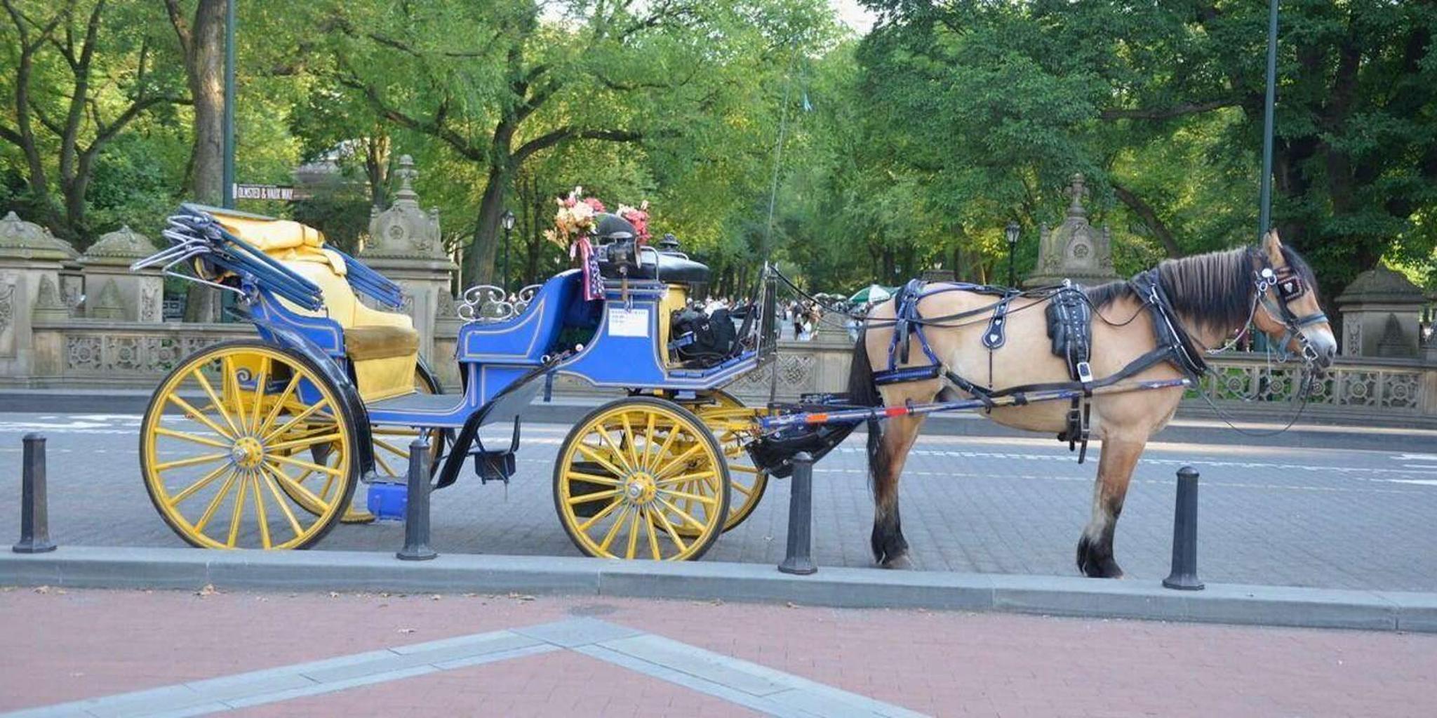 New York Central Park Horse-Drawn Carriage Ride