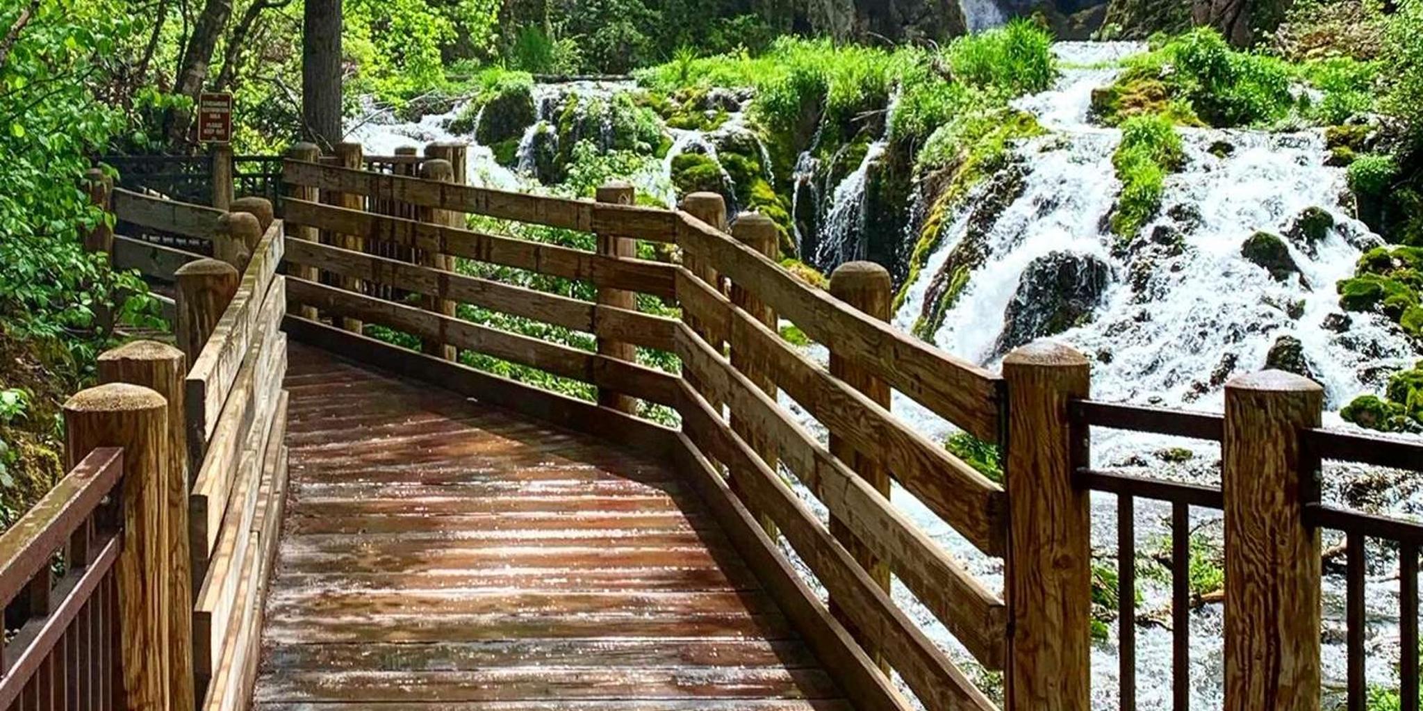 Rapid City Spearfish Canyon Private Tour 7.5 hr