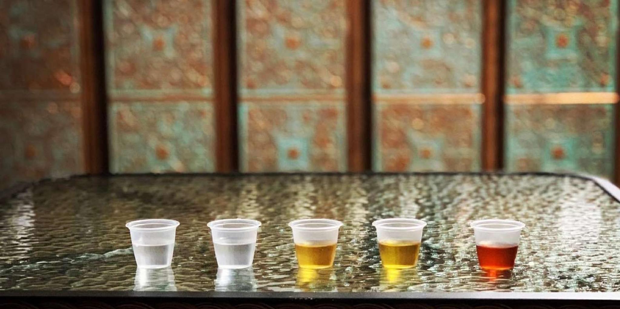 New Orleans Rum Distillery Tour and Tasting - Image 4