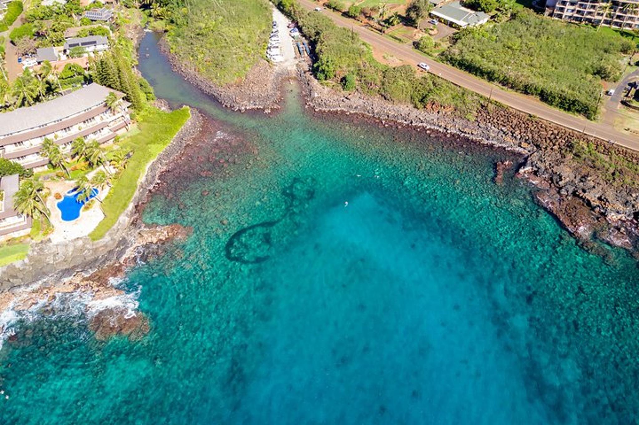 Kauai South Shore SCUBA Dive 4 hr