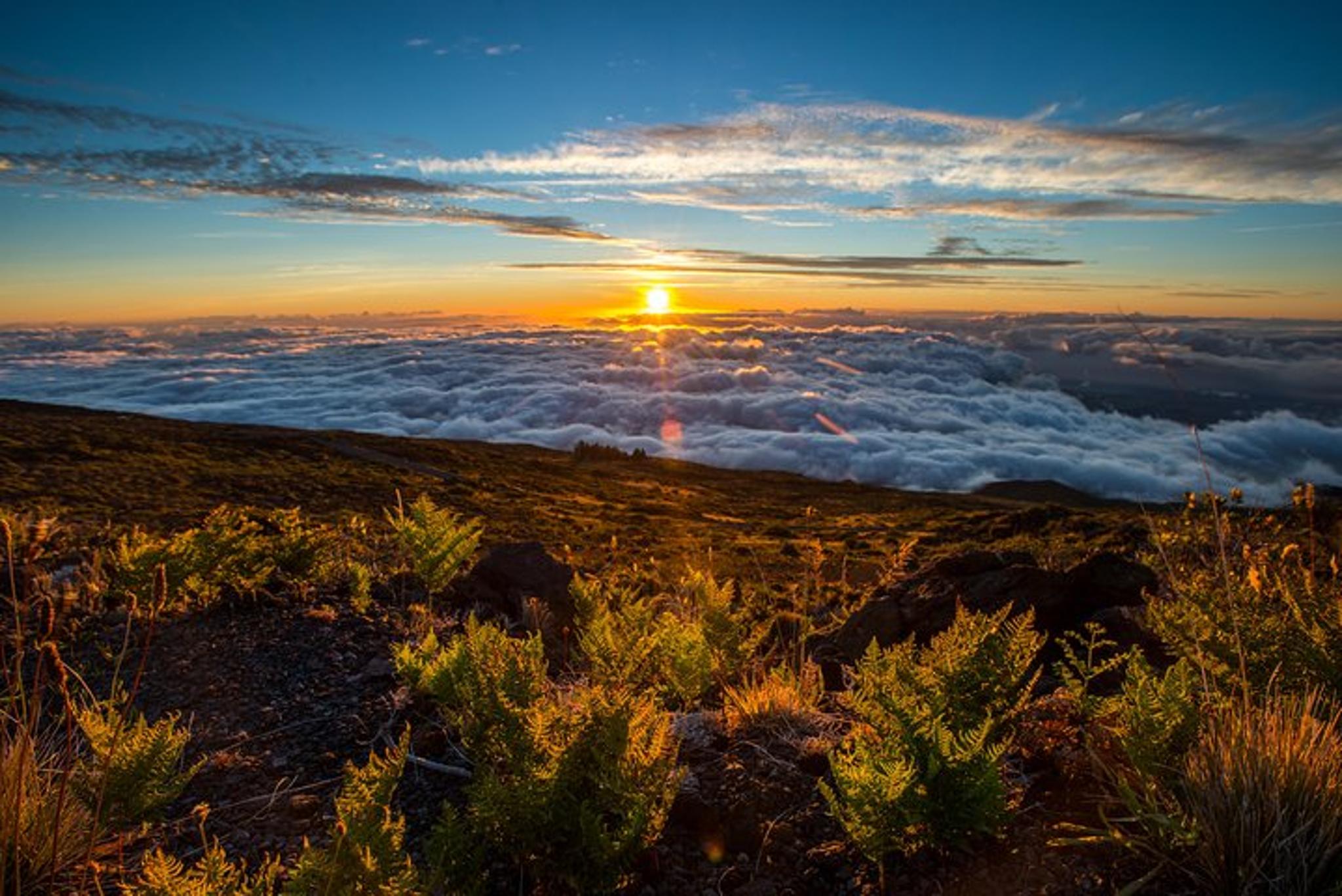Kahului Haleakala Summit & Stroll