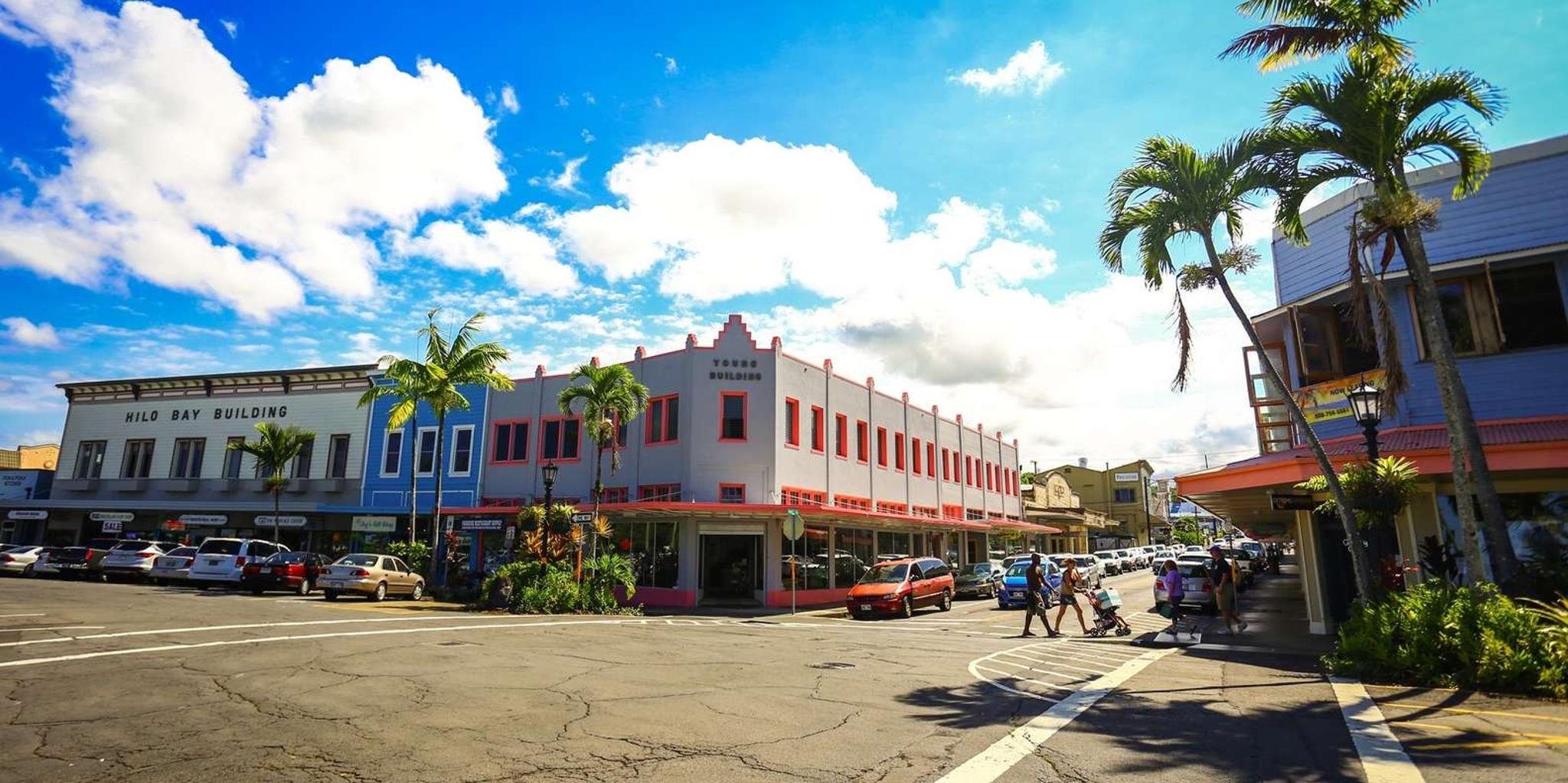 Hilo Private Van Tour - Image 6