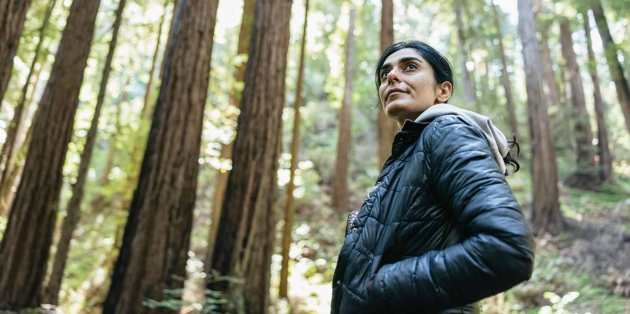 San Francisco Muir Woods Guided Tour 4.5 hr - Image 2
