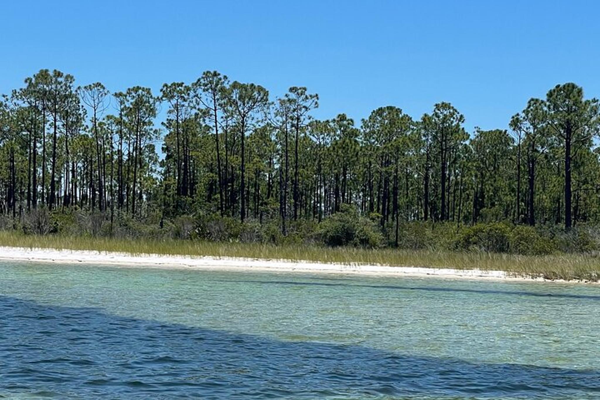 Panama City Beach Dolphin and Eco Tour - Image 6