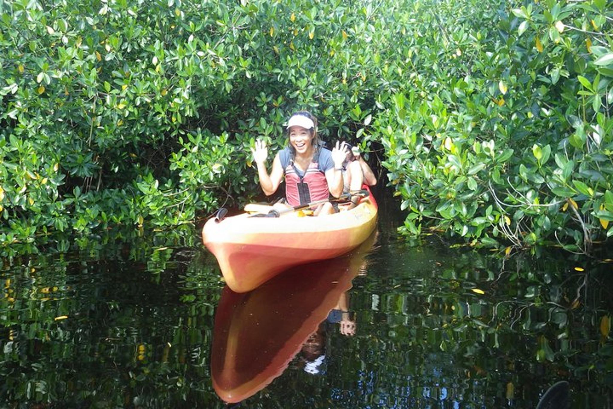 Everglades Mangrove Tunnel Kayak Eco Tour 3 hr - Image 6