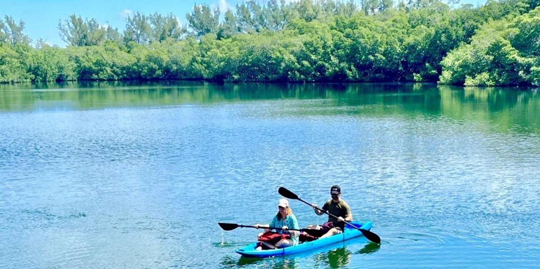 Miami Paddleboard or Kayak Tour in Manatee Season - Image 3