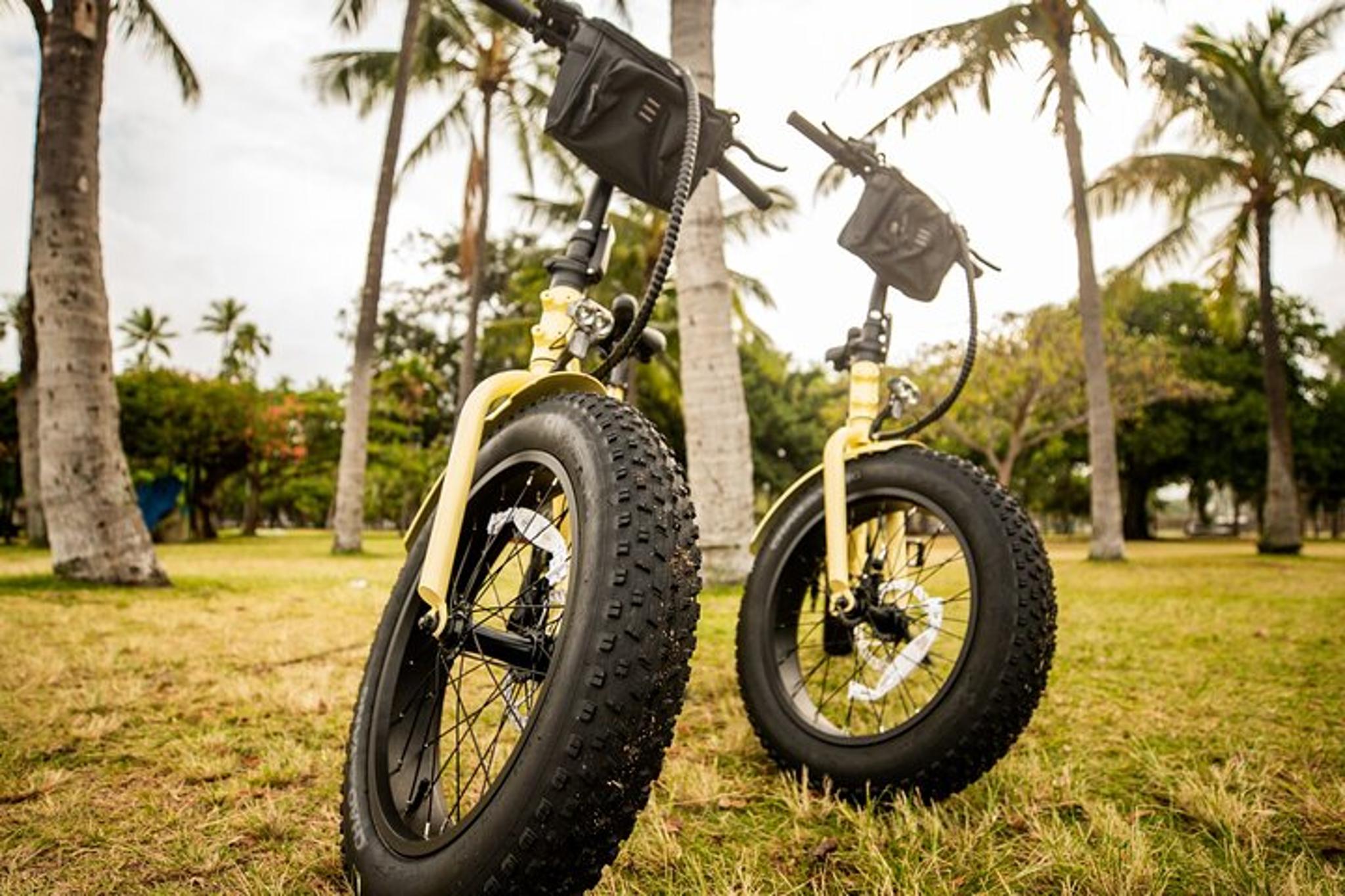 Waikiki Electric Bike Tour: Diamond Head Hike