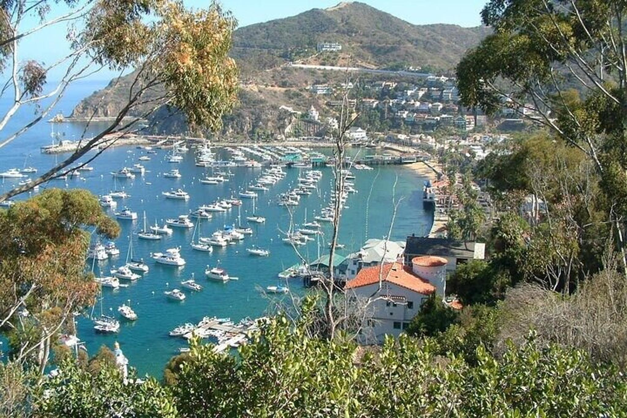 Catalina Island Insider Adventure Tour 2 hr - Image 4