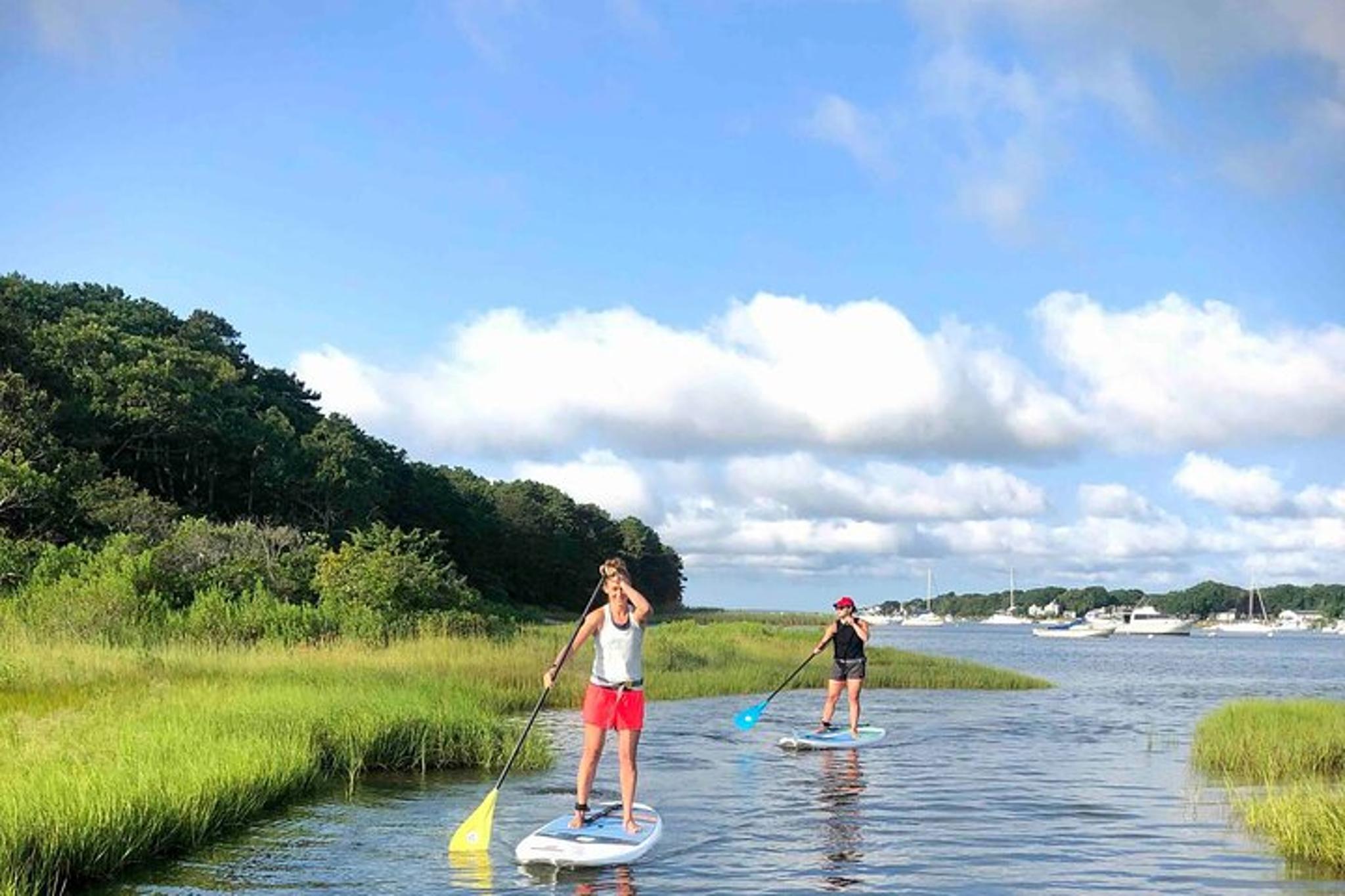 Mashpee Paddle Board Ice Cream Adventure 90 min - Image 6