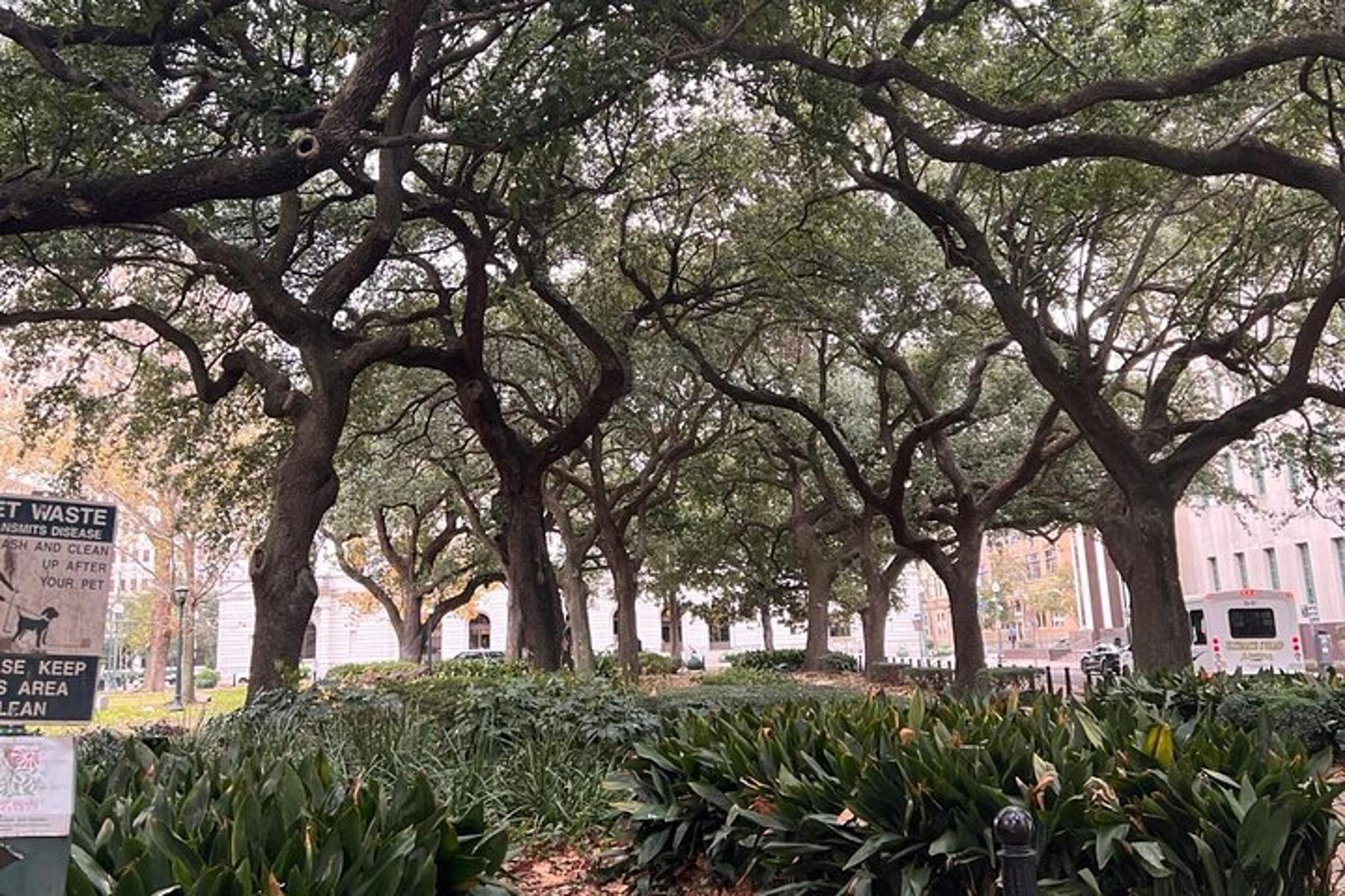 New Orleans City Driving Tour - Image 4