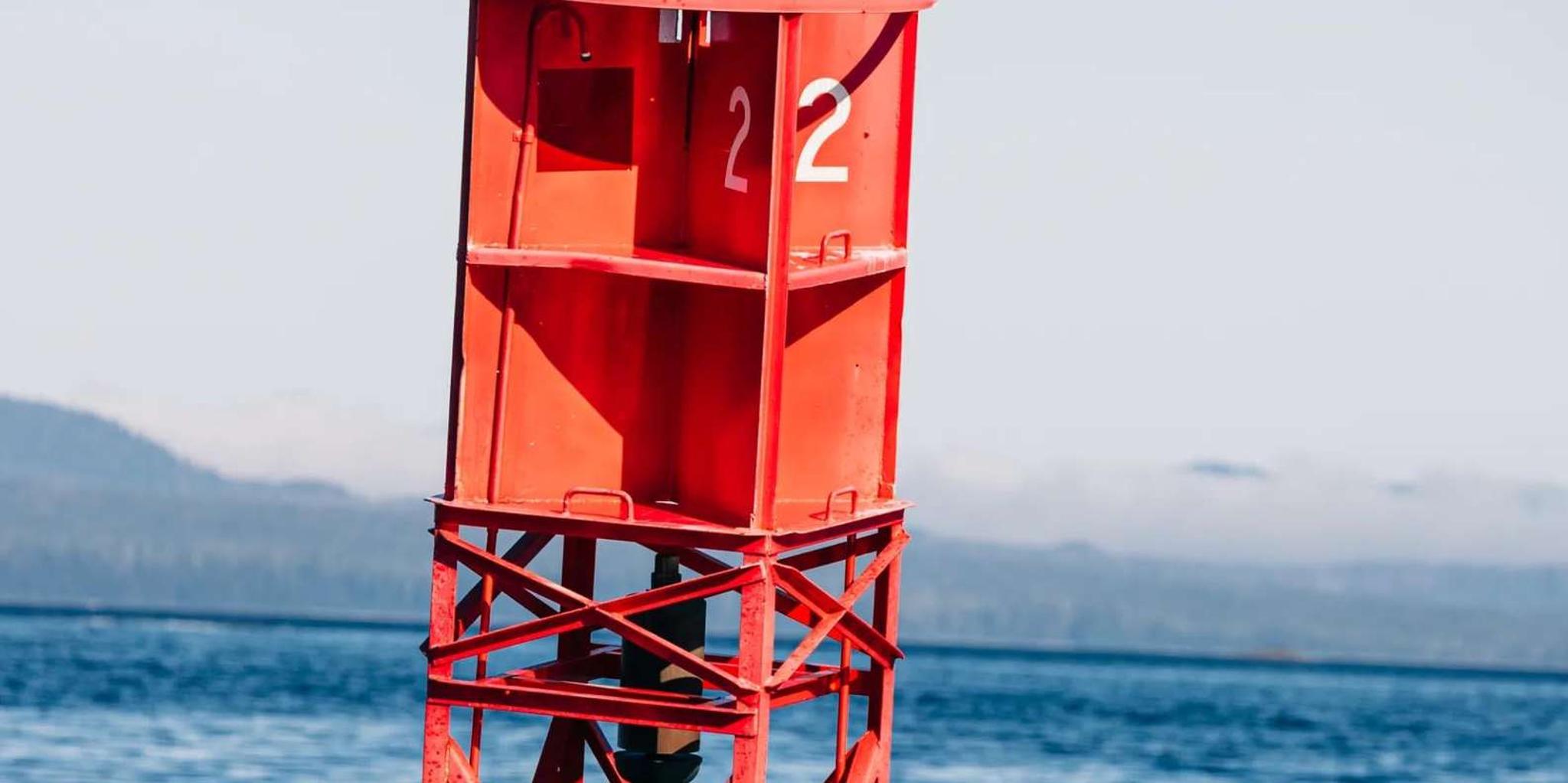 Sitka Whale Watching Tour with Naturalist - Image 3