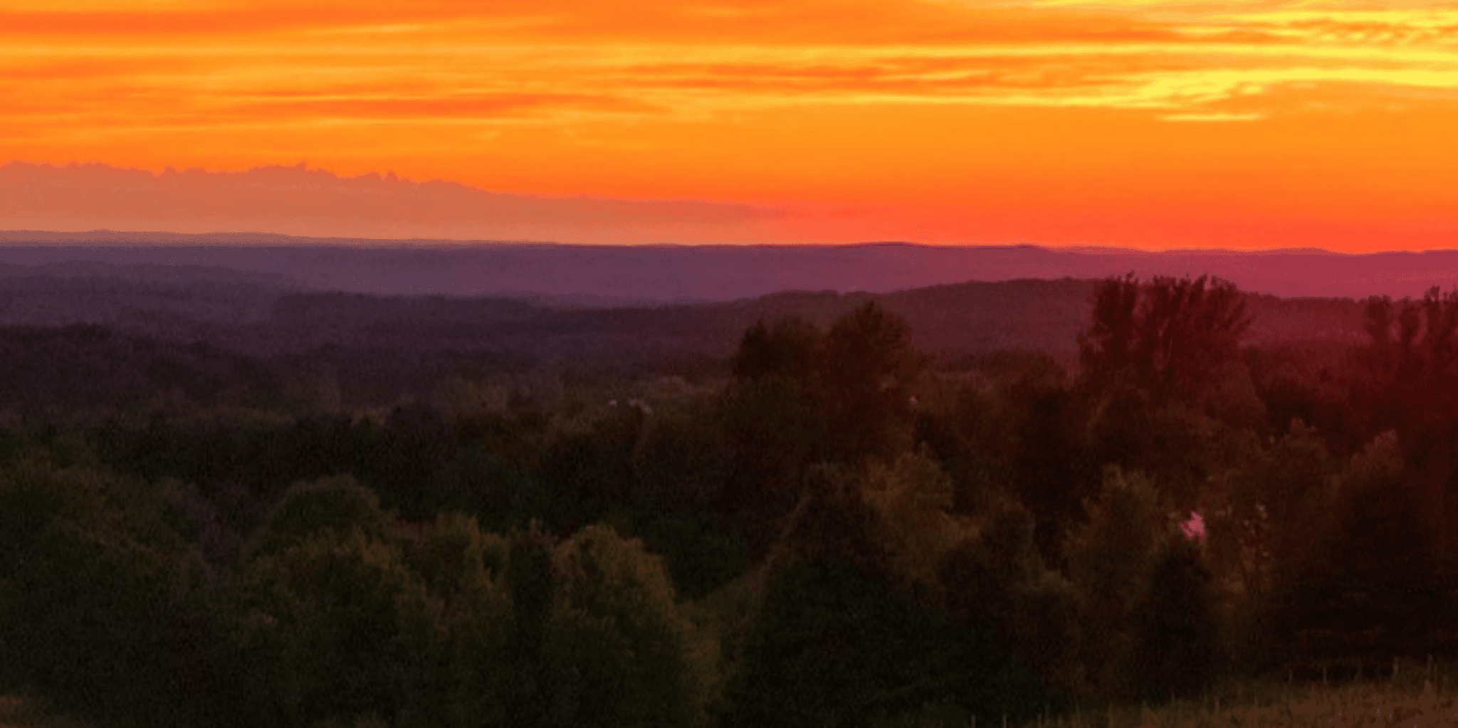 Traverse City Wine Tour at Sunset 4 hr - Image 4