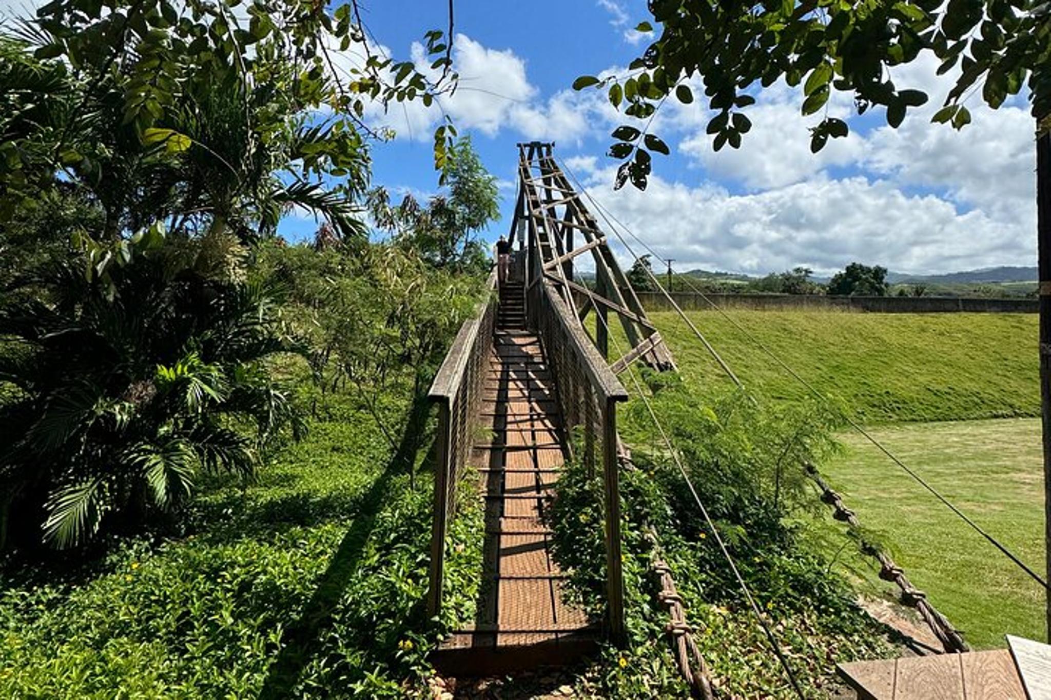 Kauai Waimea Canyon and Waterfall Day Tour - Image 6