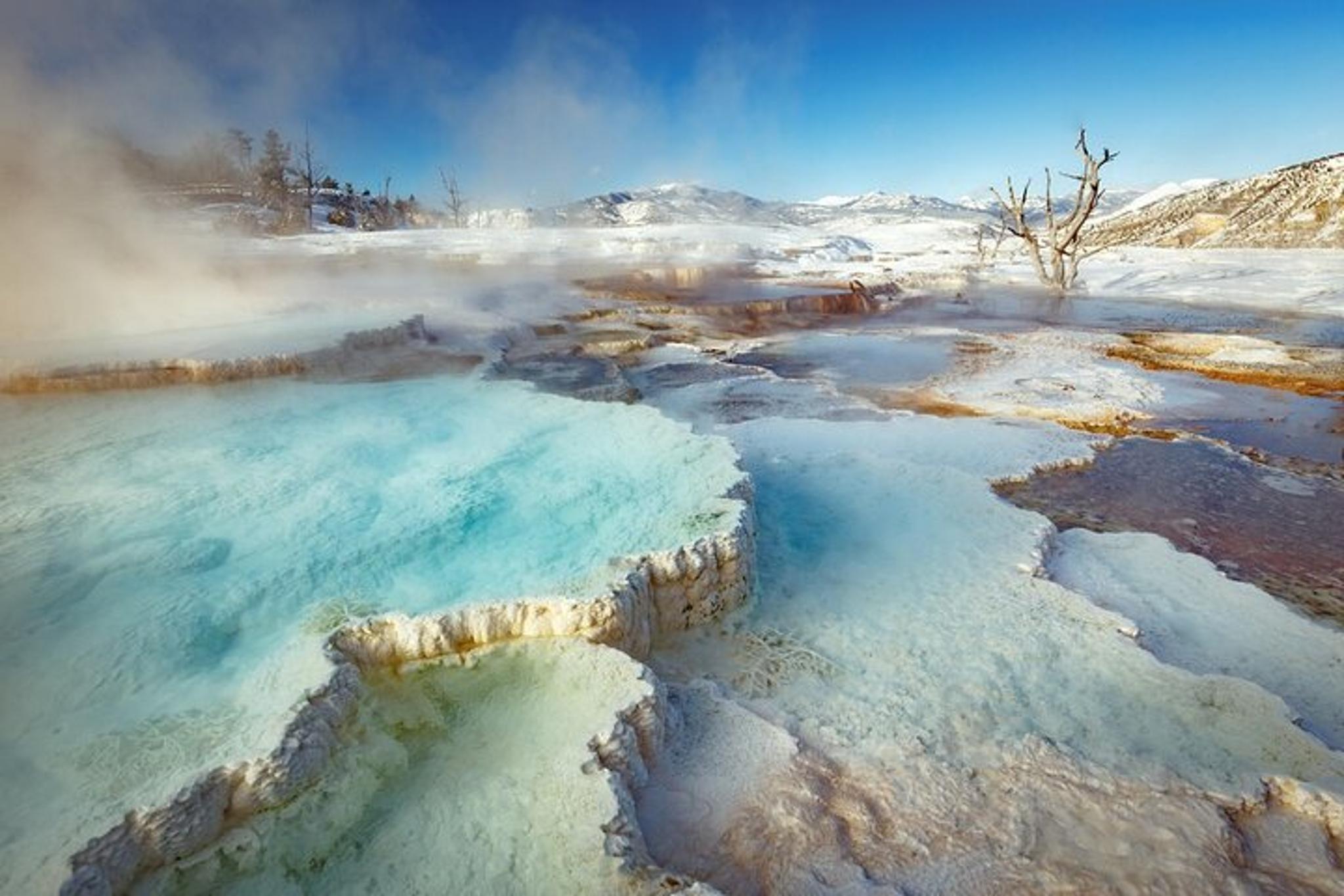 Yellowstone National Park Winter Wildlife Safari - Image 4
