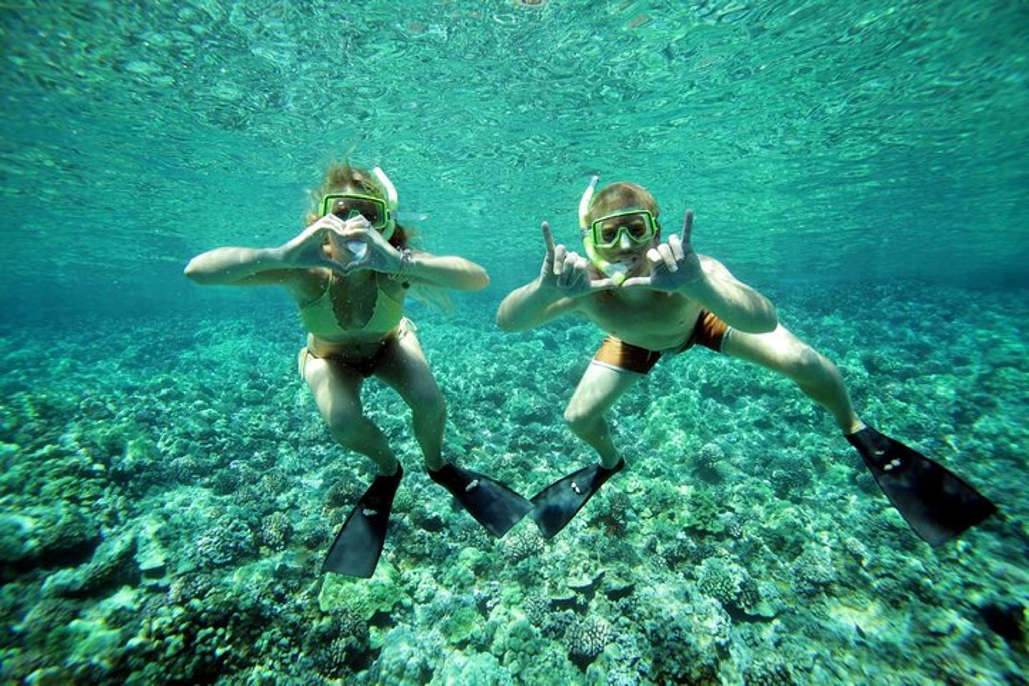 Maui Snorkel & Sail at Coral Gardens 2.5 hr - Image 3