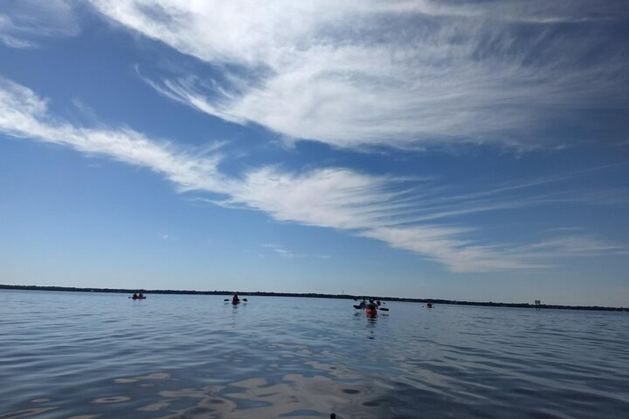 Manatee Cove Kayaking Tour with Dolphin Sightings - Image 6