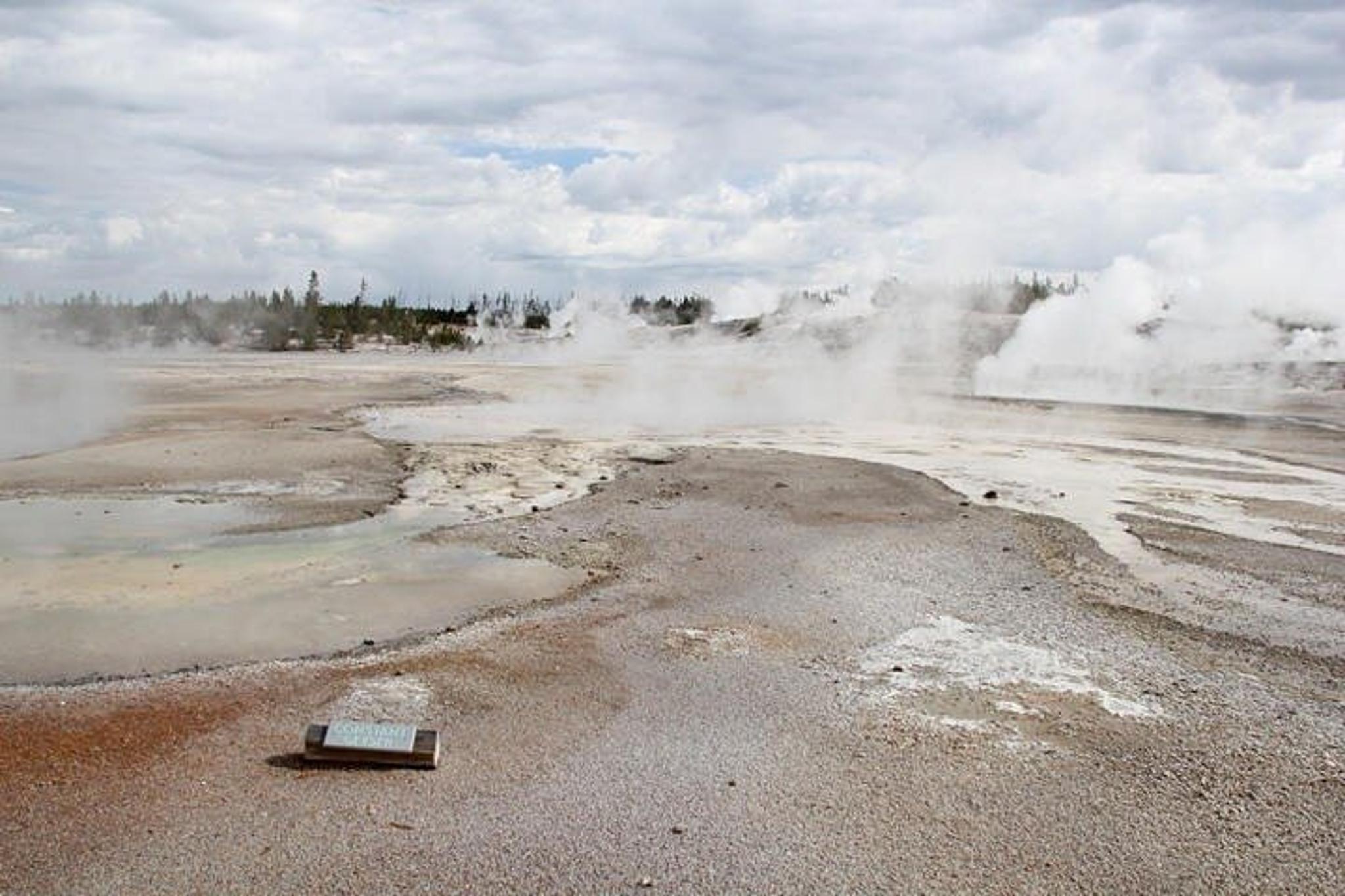 Yellowstone Lower Loop Private Tour with Lunch - Image 3