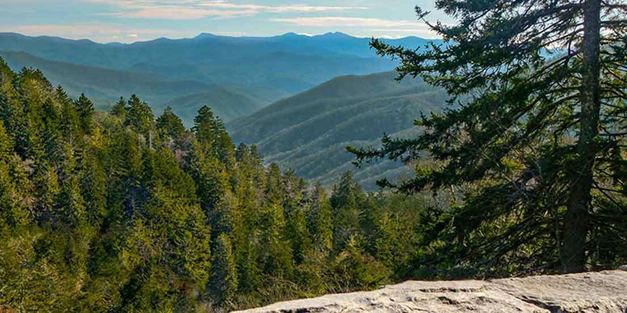 Pigeon Forge Smoky Mountains Jeep Tour - Image 4