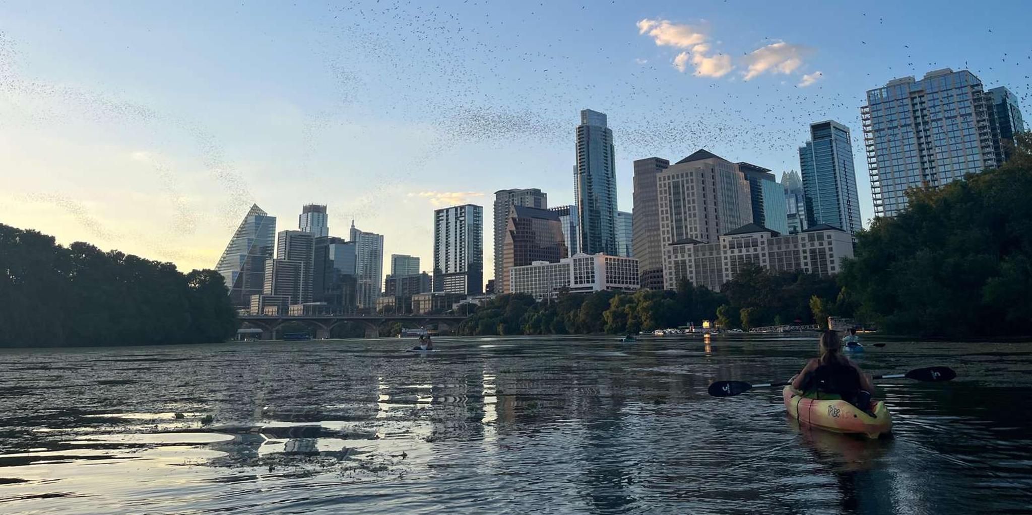 Austin Bat Bridge Paddleboard and Kayak Tour at Sunset - Image 2