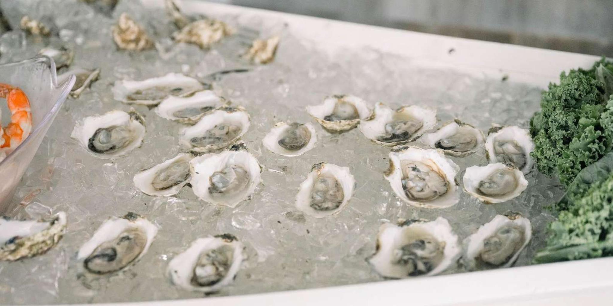 Plymouth Sunset Cruise with Oyster Tasting - Image 4