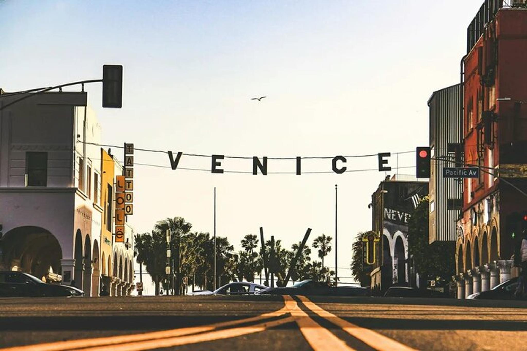 Los Angeles Chauffeured City Tour - Image 4