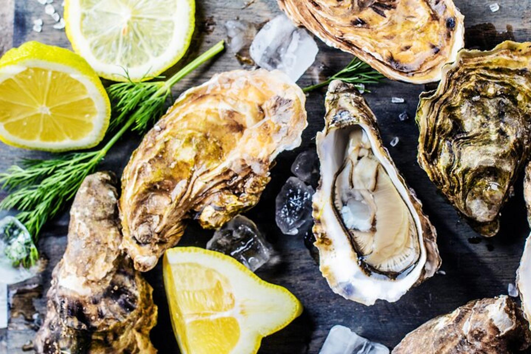 Outer Cape Tasting Tour