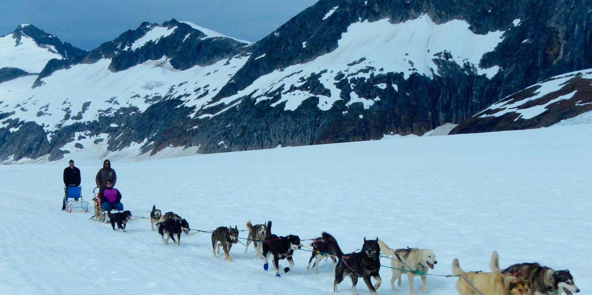 Juneau Helicopter Dogsledding on Herbert Glacier - Image 2