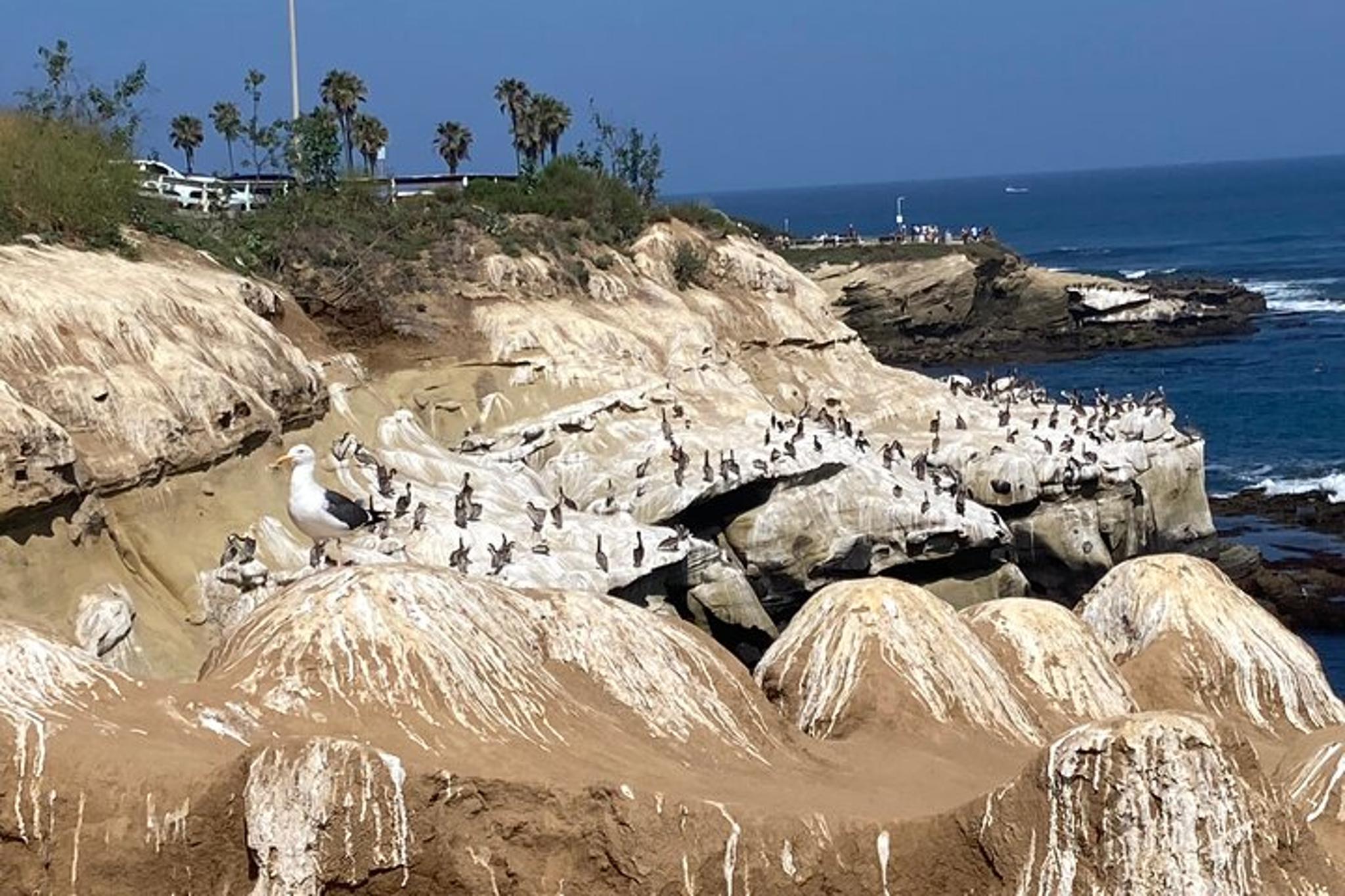 San Diego Scavenger Hunt at La Jolla Cove - Image 4