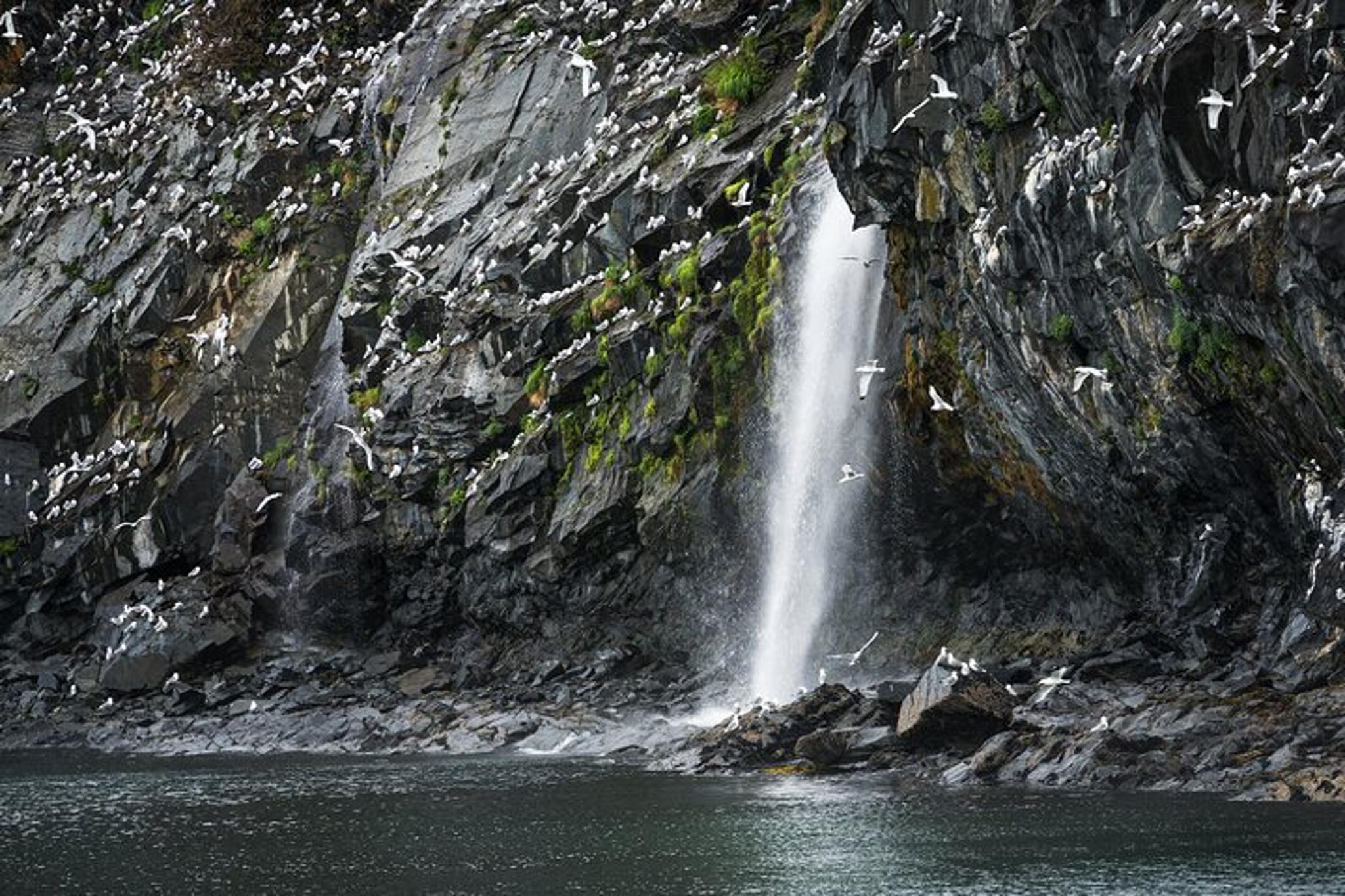 Anchorage Glacier Quest Cruise Self-Drive - Image 5