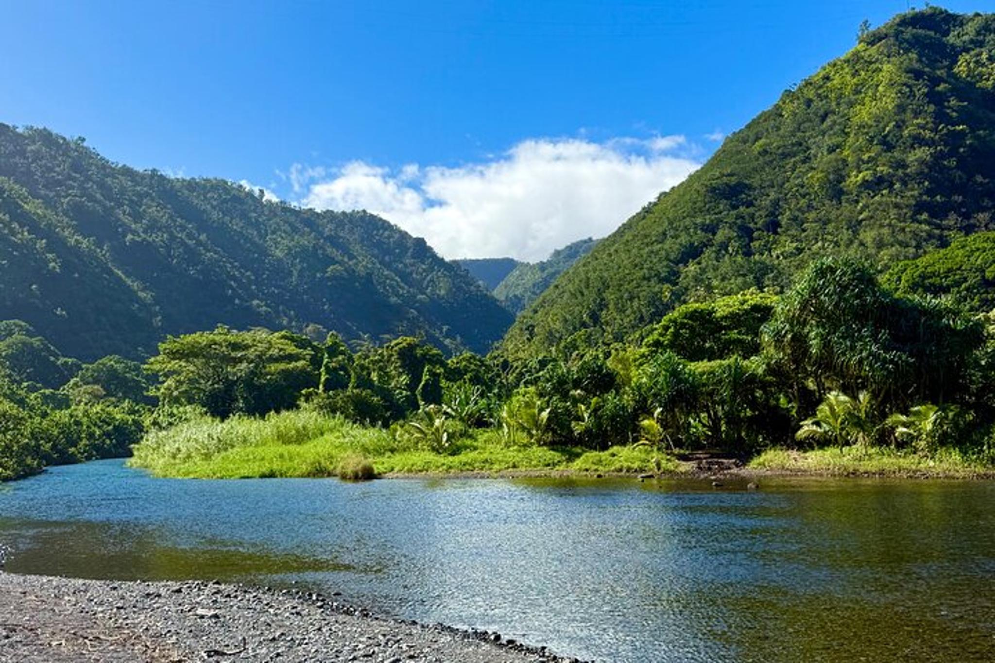 Maui Private Road to Hana Tour - Image 2