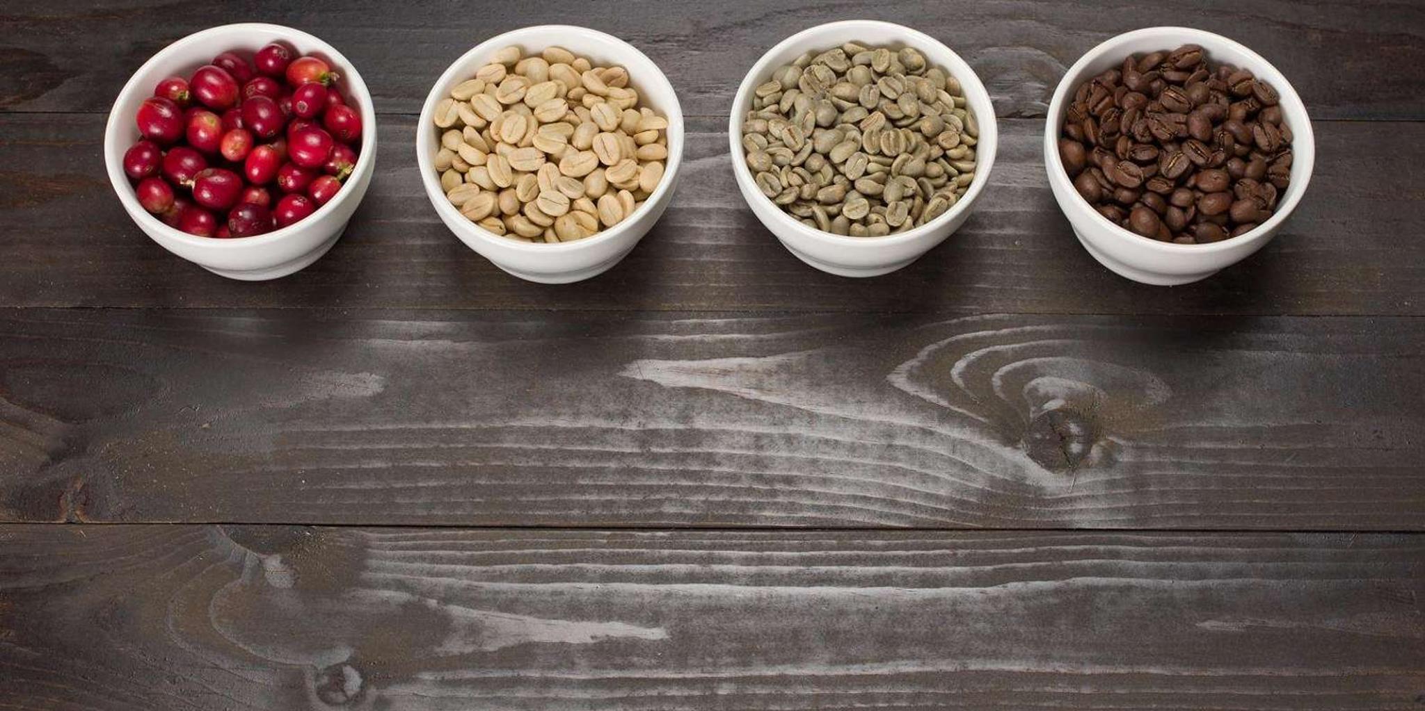 Captain Cook Coffee Cupping Workshop - Image 2
