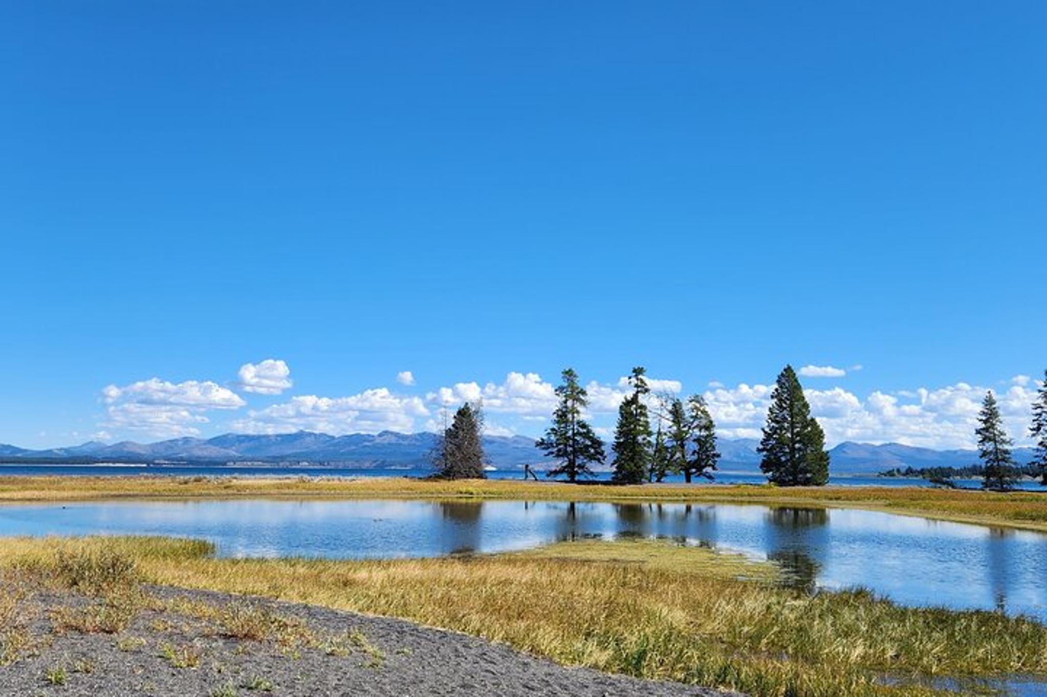Yellowstone Wildlife Tour 7 hr - Image 3