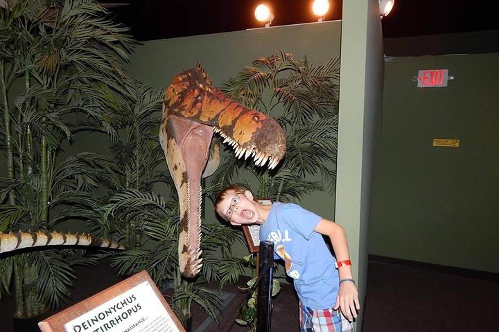 Branson Dinosaur Museum Admission - Image 6