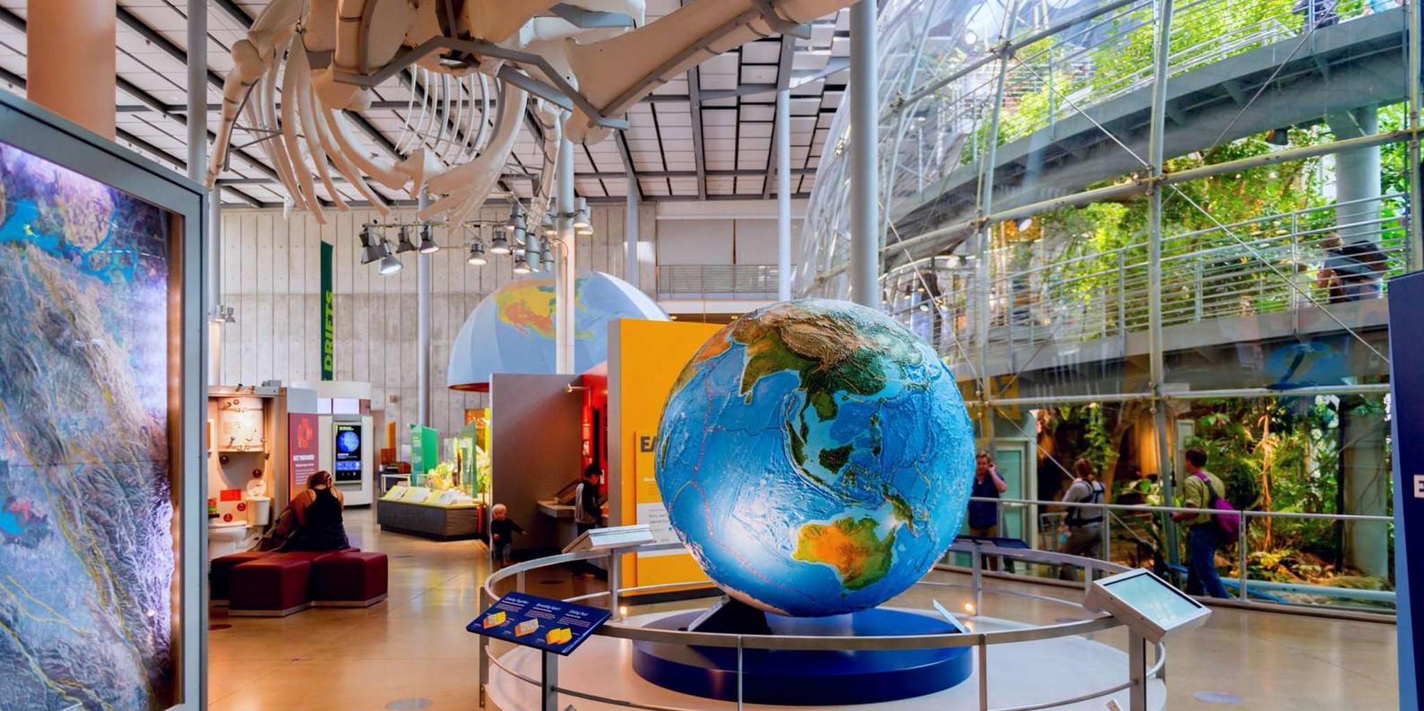 San Francisco Hop-On Hop-Off & Academy of Sciences Tour - Image 5