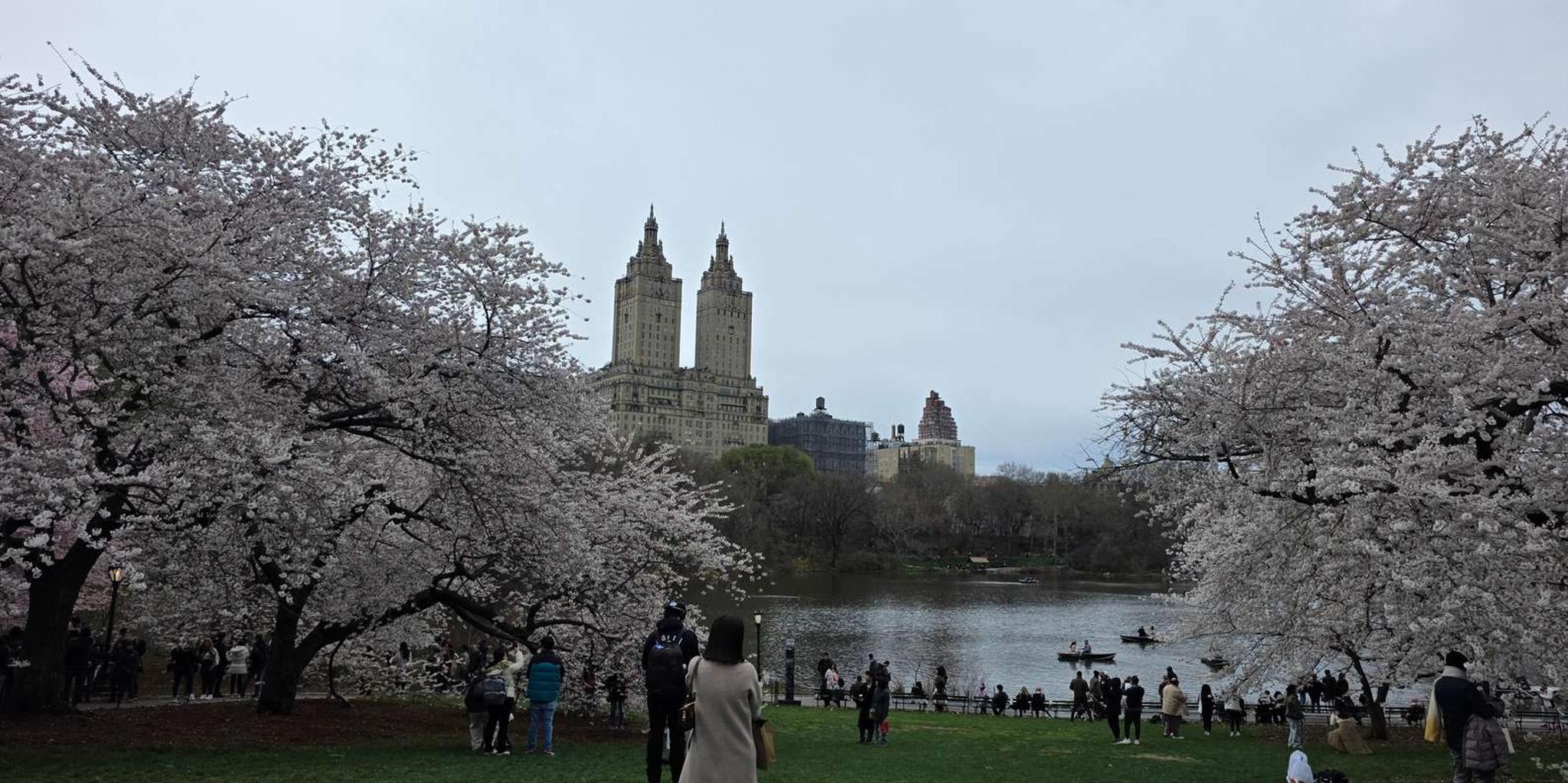 New York Central Park Pedicab Tour - Image 2
