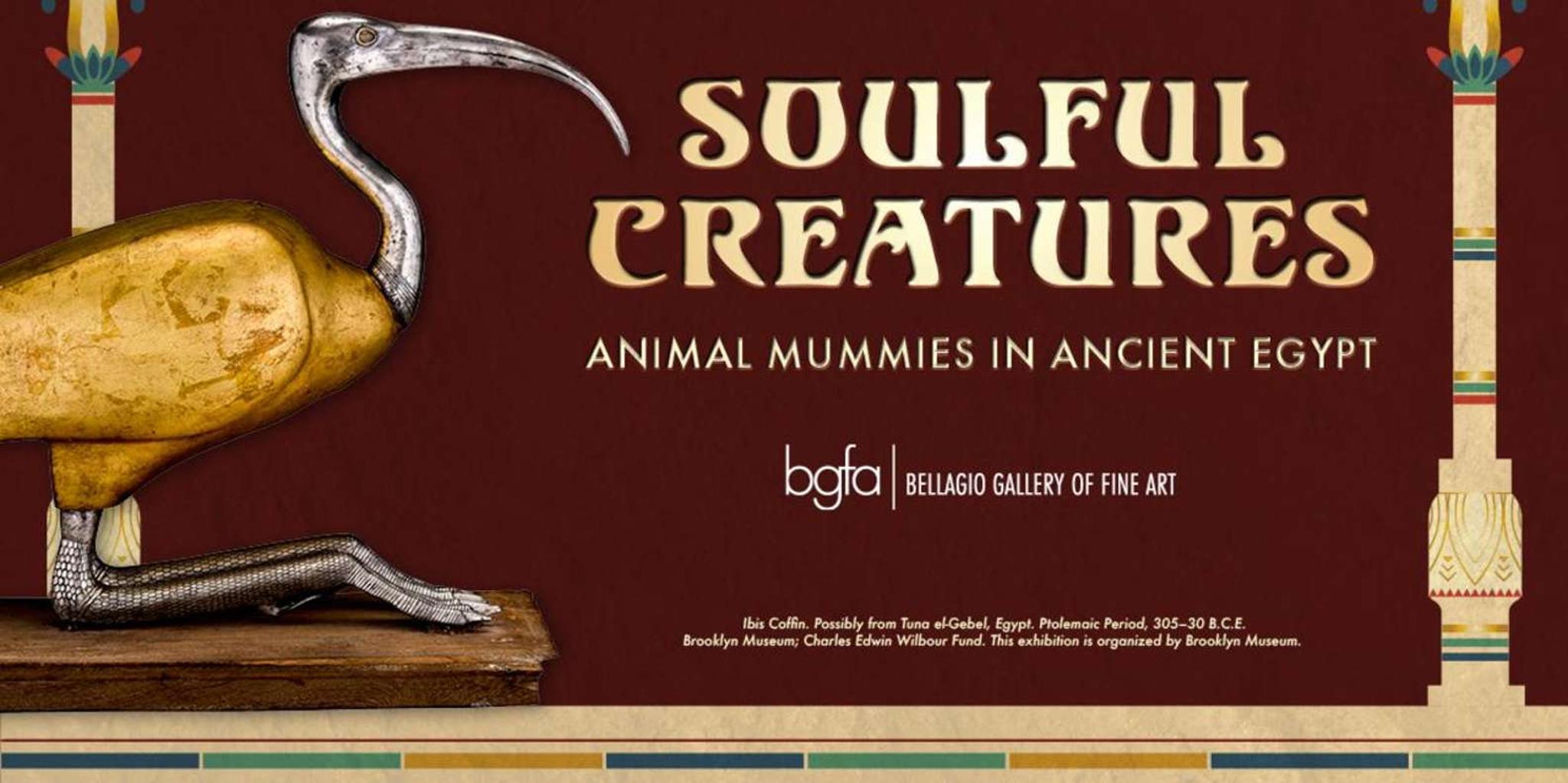 Las Vegas Animal Mummies Exhibition