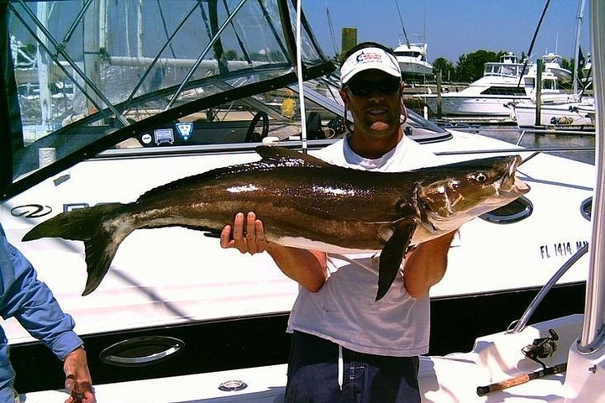 Apalachicola Inshore Fishing Charter - Image 5