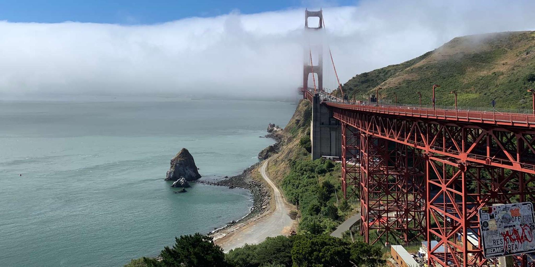 San Francisco Muir Woods and Sausalito Tour - Image 3