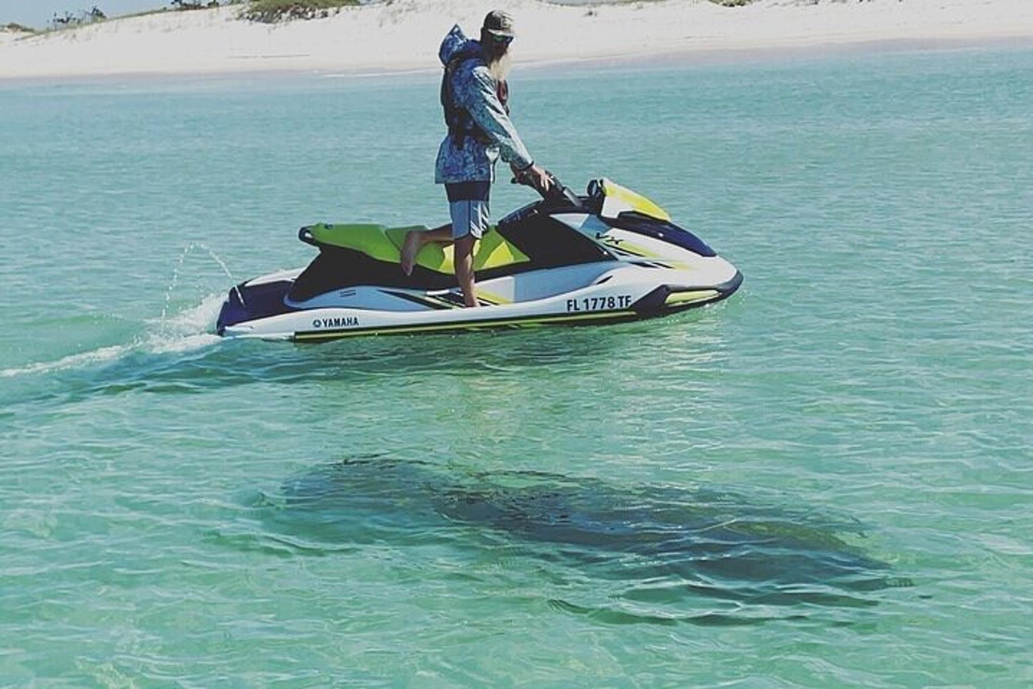 Panama City Beach Jet Ski Dolphin Tour 2 hr - Image 3