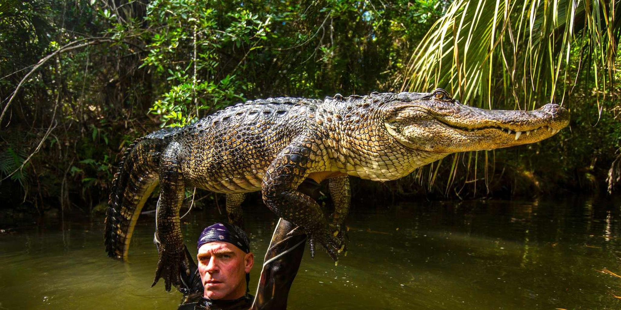 Miami Everglades Airboat Ride and Gator Encounter - Image 6