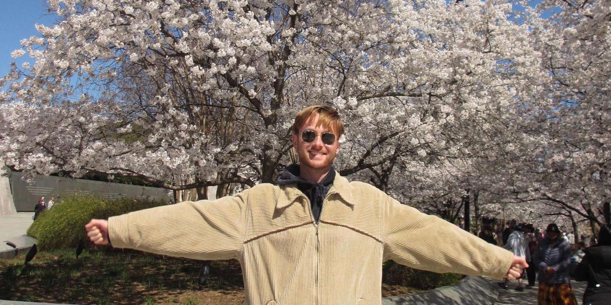 Washington, DC Cherry Blossom Walking Tour - Image 3