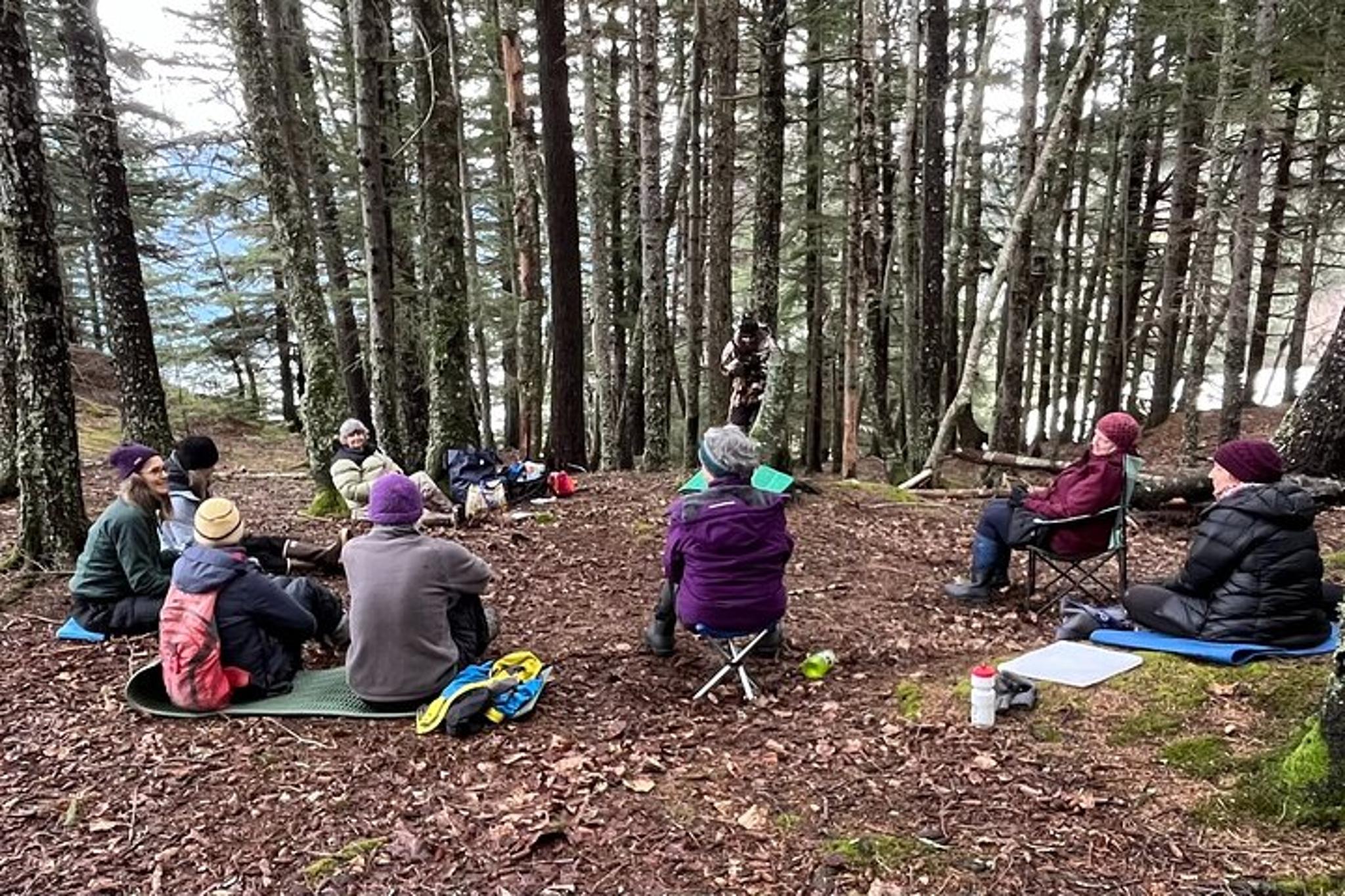 Haines Forest Therapy Tour - Image 3