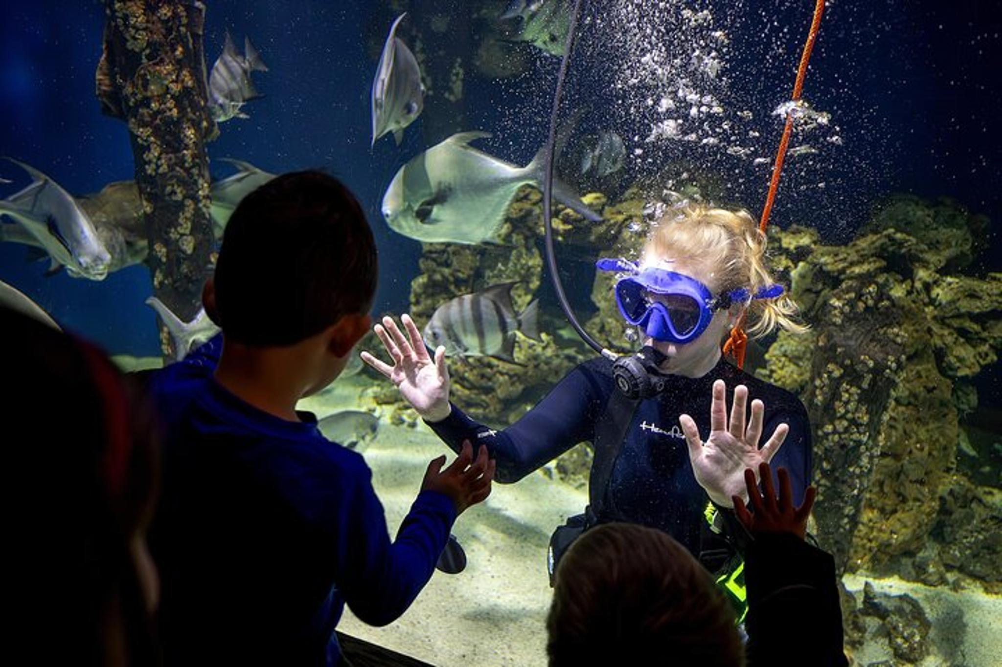 Virginia Living Museum Adventure - Image 4