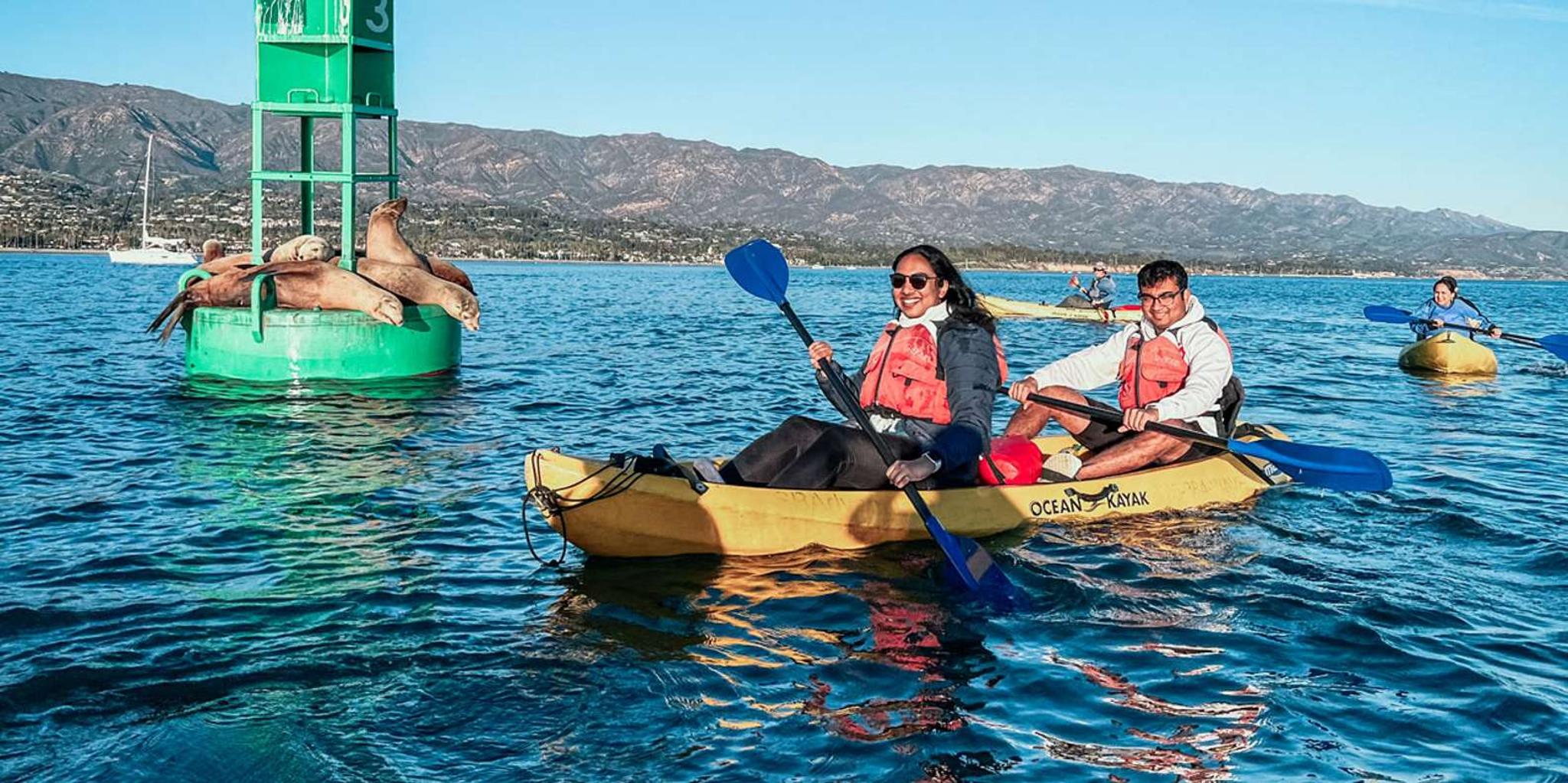 Santa Barbara Wildlife Kayak Tour