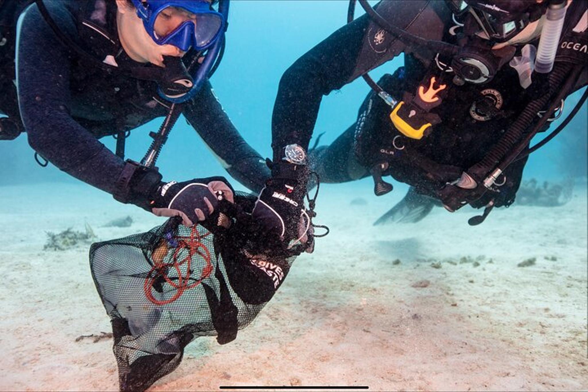 Waikiki Wreck and Reef Dive - Image 6