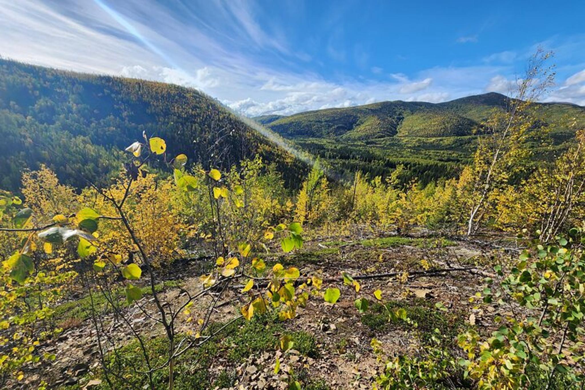 Fairbanks Angel Rocks Hike and Chena Hot Springs Tour - Image 3