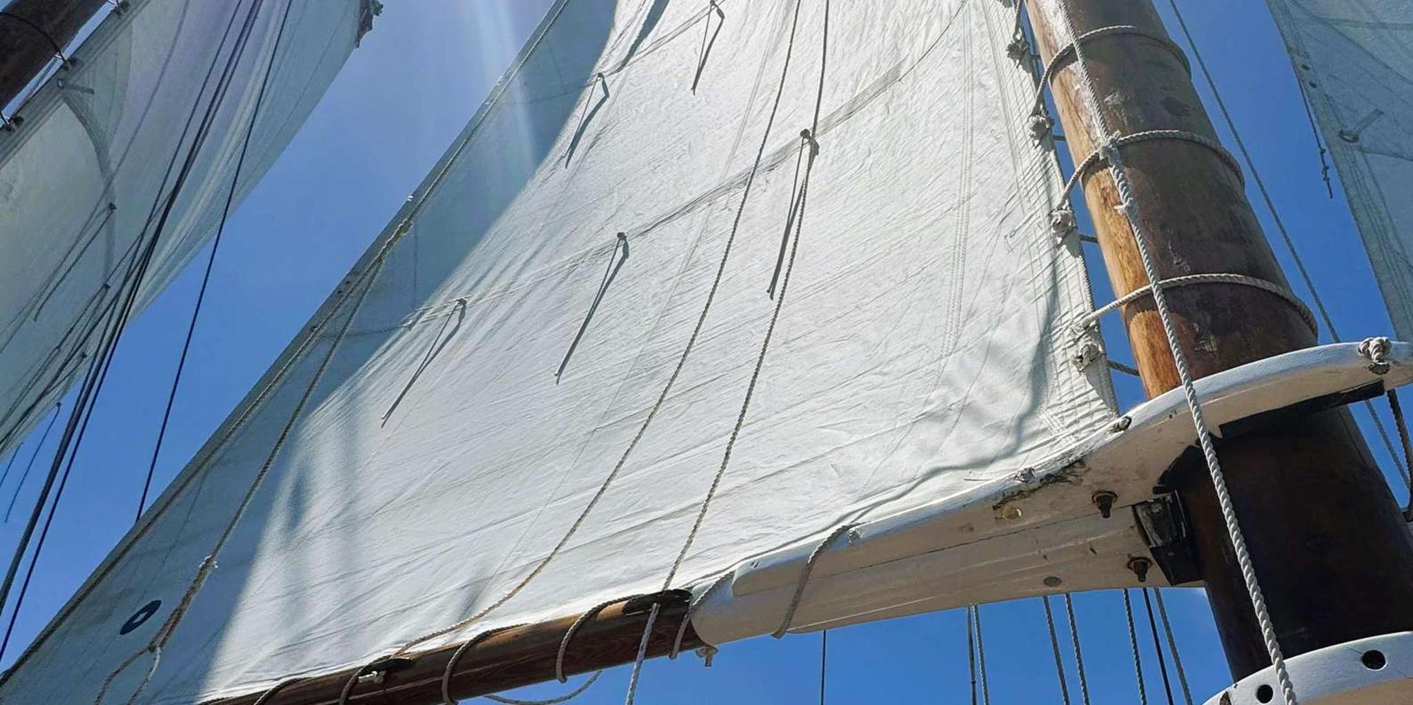 Boston Tall Ship Harbor Sail with Brunch Option - Image 6