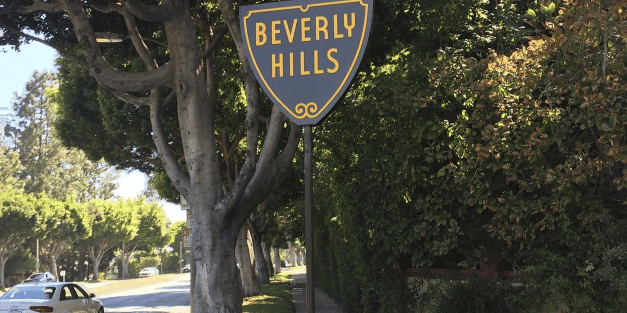 Los Angeles Hollywood Tour & Celebrity Homes - Image 6